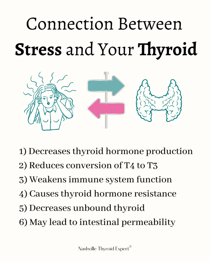 Connection Between Cortisol and Thyroid - All Purpose Nutrition